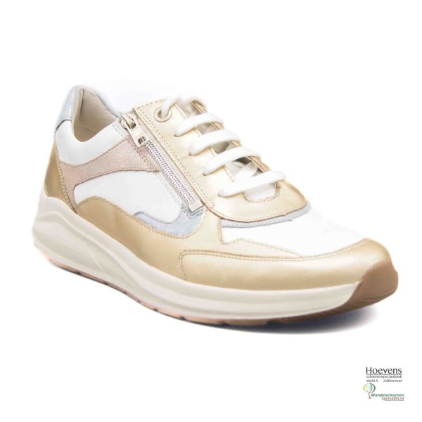 Solidus 54501 40617 gold multi