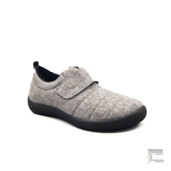 Rohde 2007 80 Grey