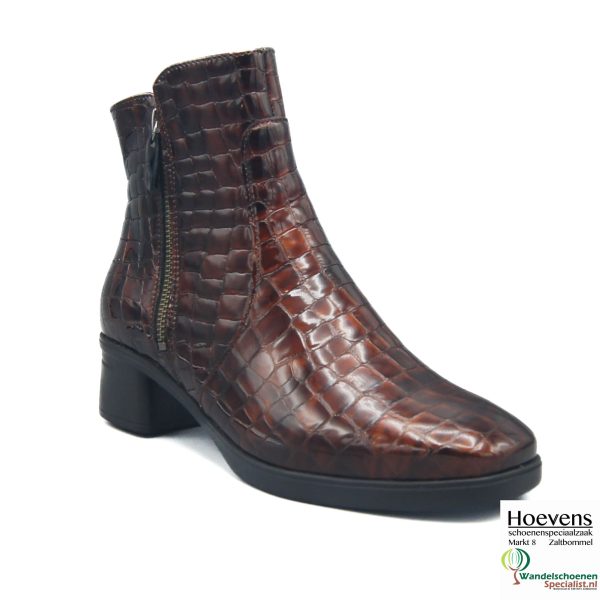 Hartjes 172 1902 60.00 Kupfer Bruin