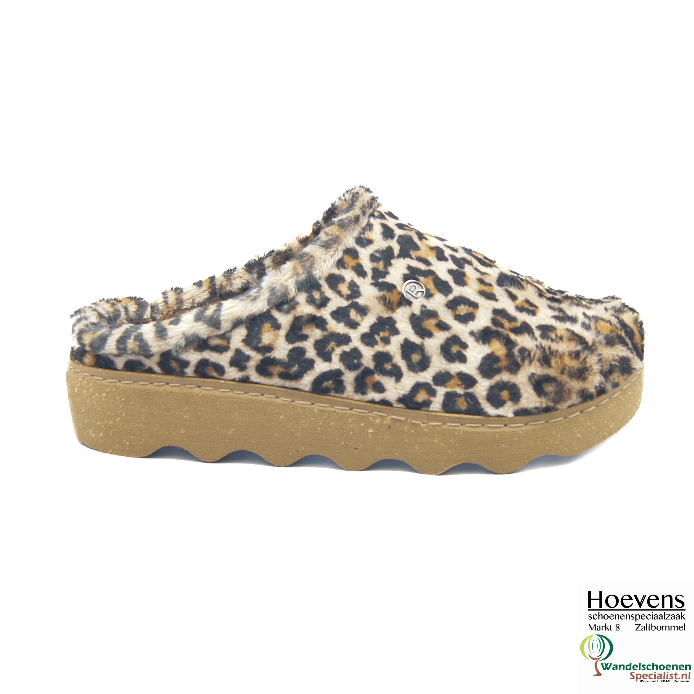 Rohde610218ginger_18 ginger_2