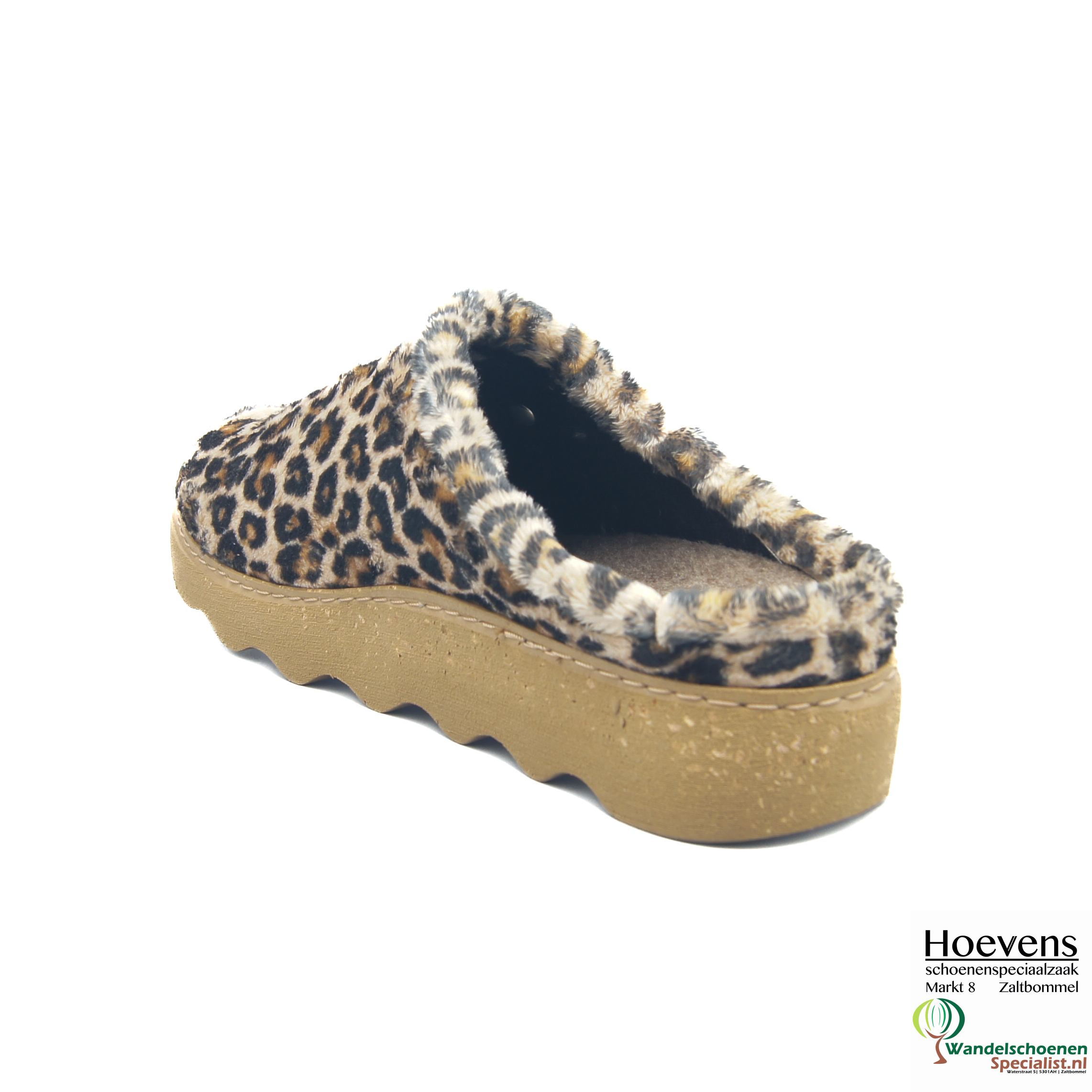 Rohde610218ginger_18 ginger_3