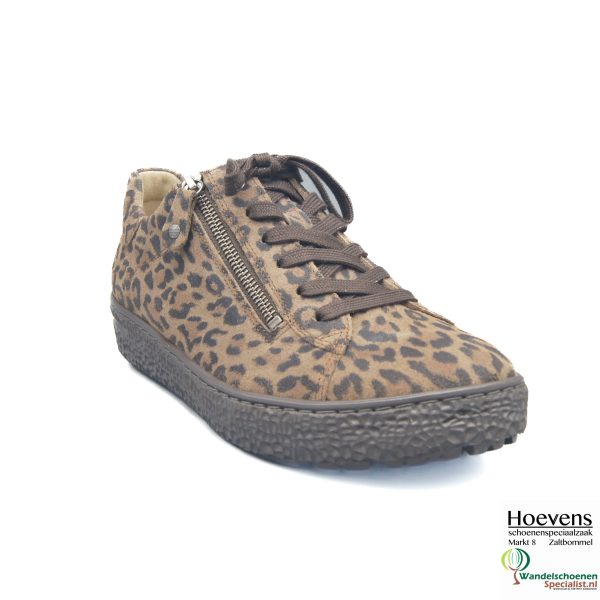 Hartjes 162 1401 40 52.00 Leopard