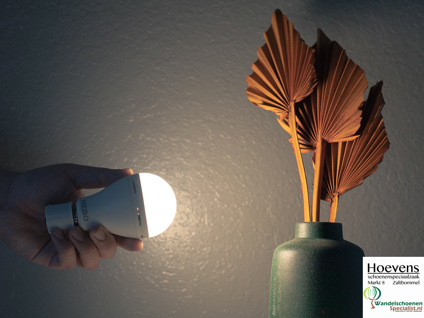 NeboNEB-ARE-0003-G_5