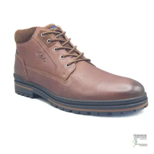 Australian Australian Middelburg 15 1578 01 D21 cognac