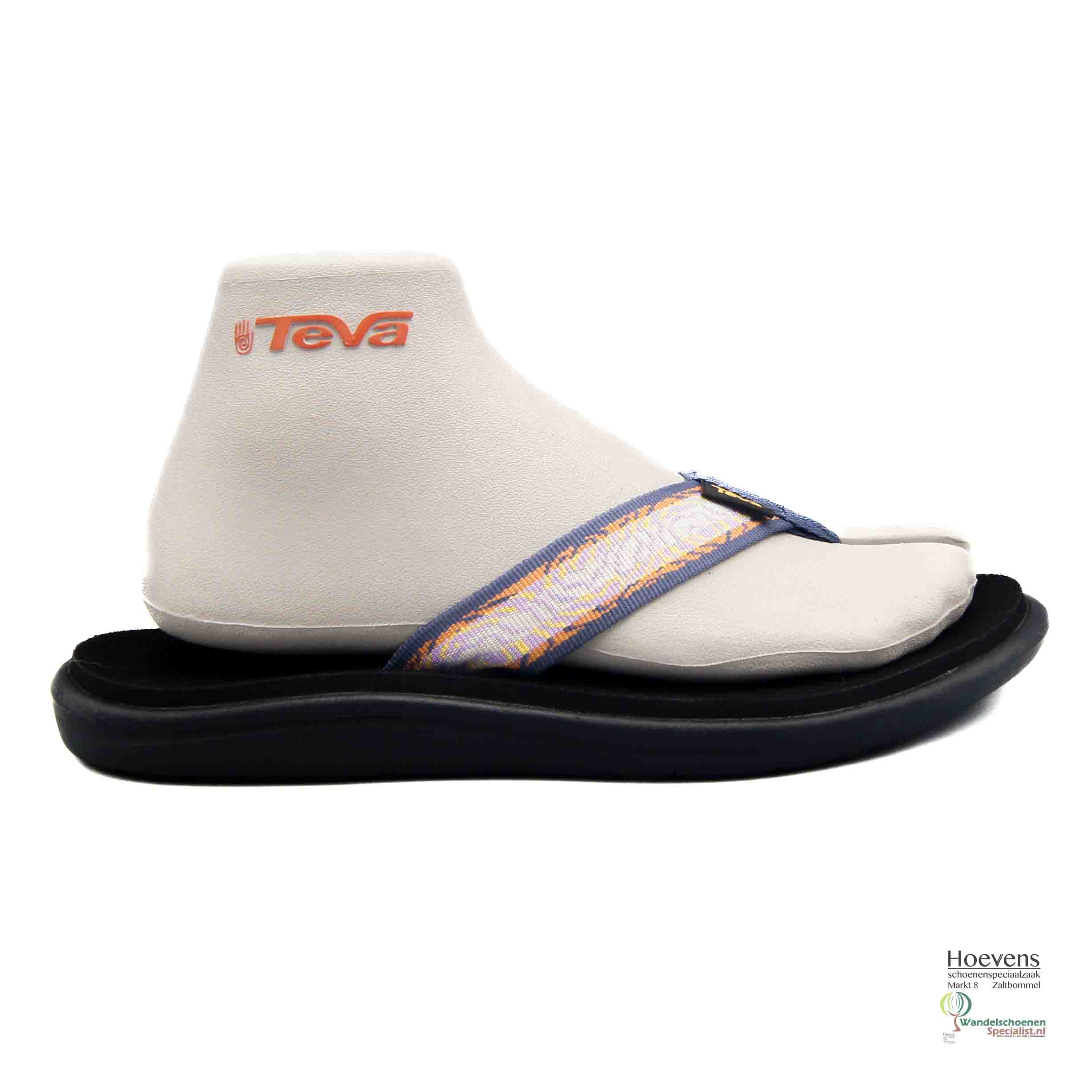Teva1019040AHVTLupine_AHVT Lupine_2