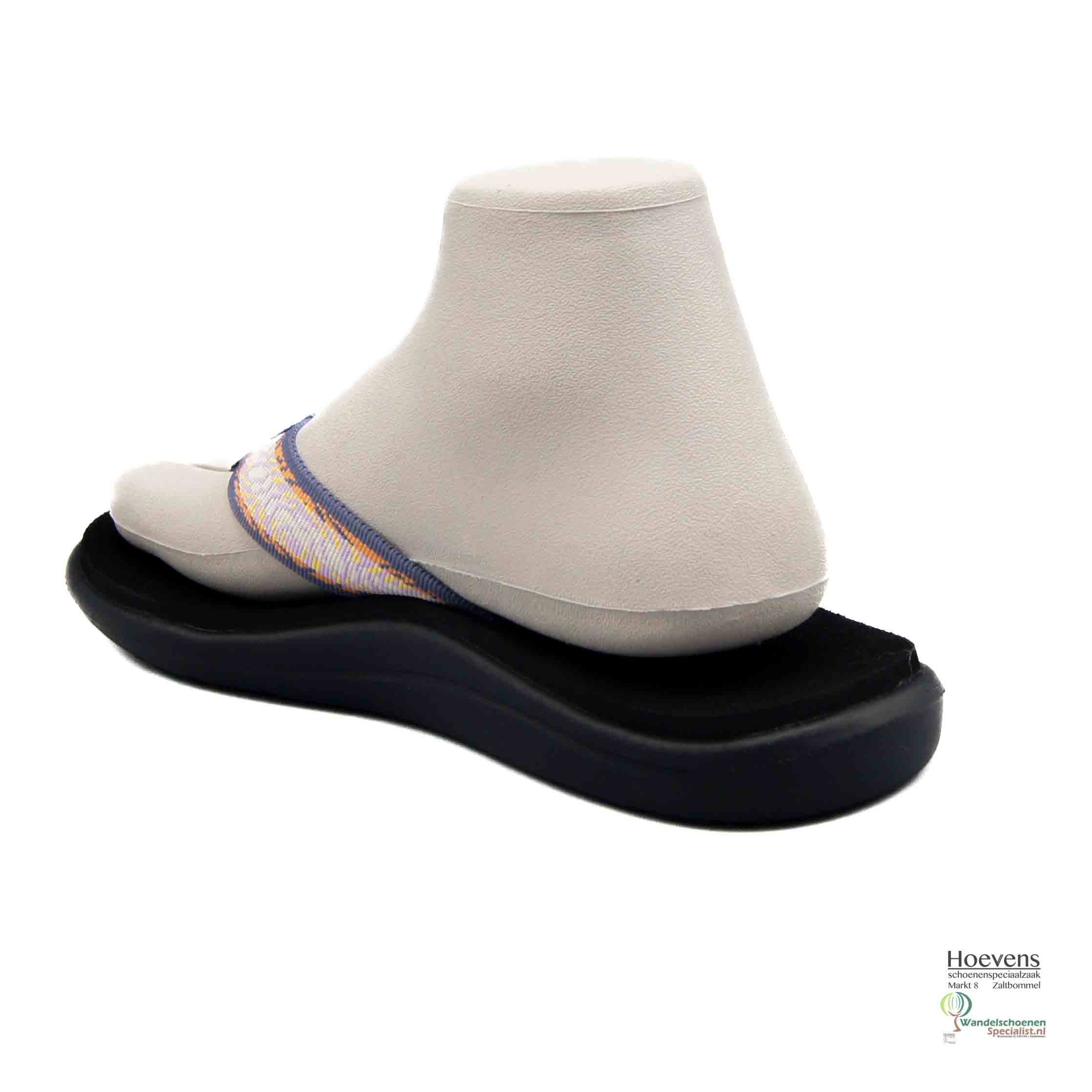 Teva1019040AHVTLupine_AHVT Lupine_3