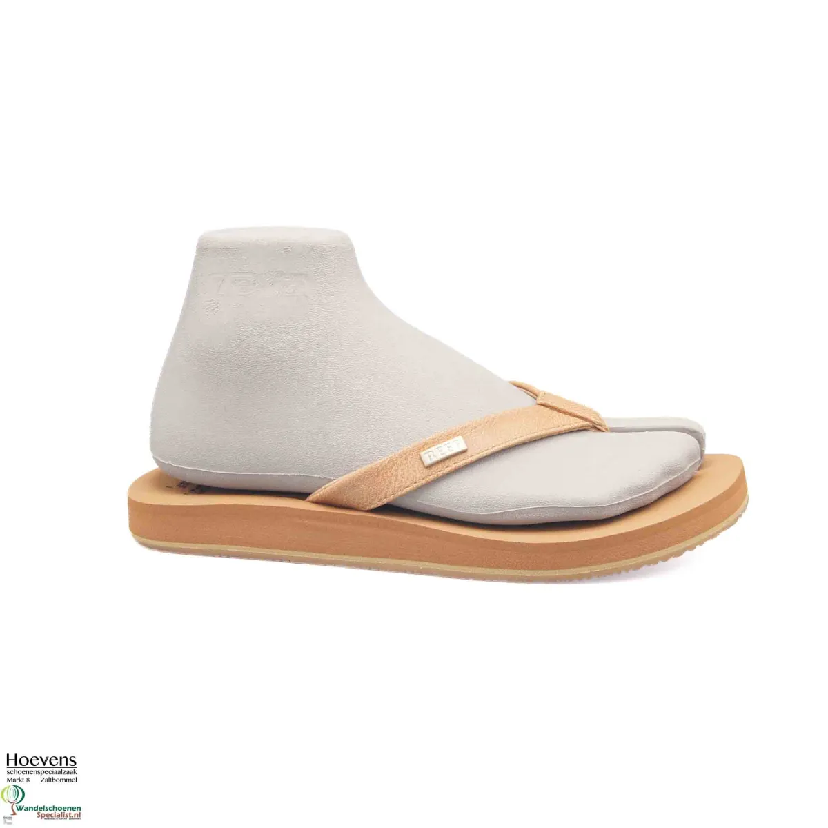 reef-baja-sands-cj9083-almond-1 Reef Reef Baja Sands Baja Sands CJ9083 Almond