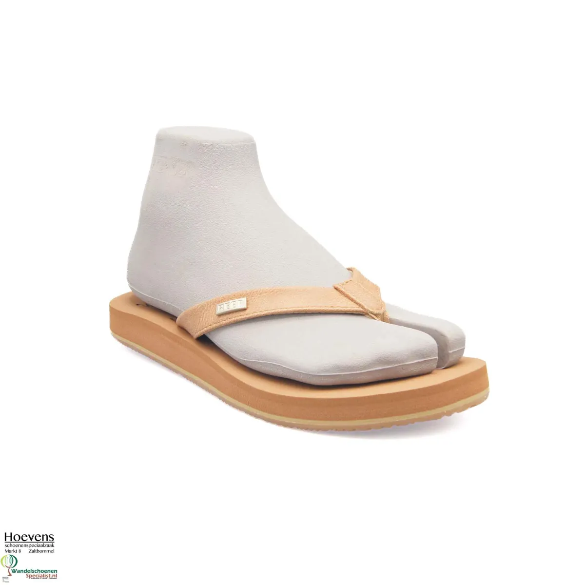 Reef Reef Baja Sands Baja Sands CJ9083 Almond